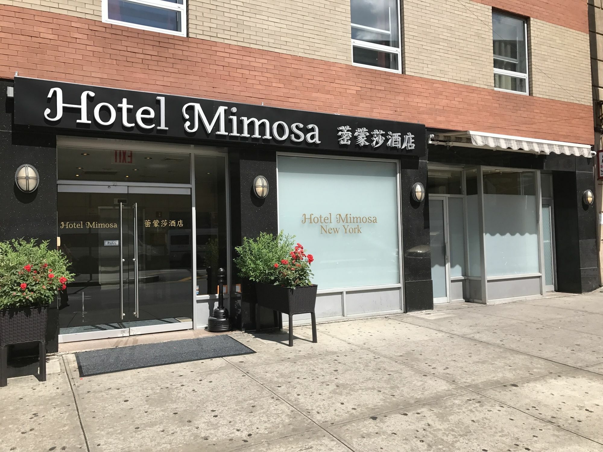 Hotel Mimosa New York Exterior photo